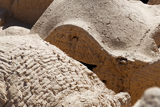 Mehriz-Caravanserail et fort de Saryazd-089